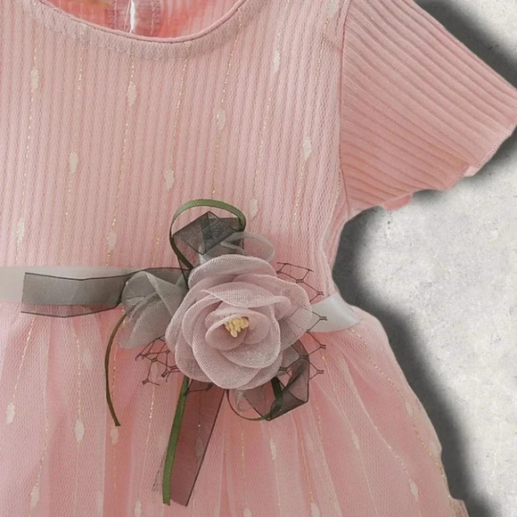 Pink  Tule Baby Girls Dress - Picture 2 of 5